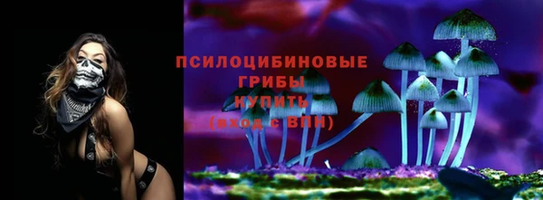 гашик Алексеевка