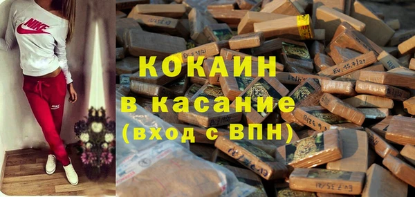 гашик Алексеевка