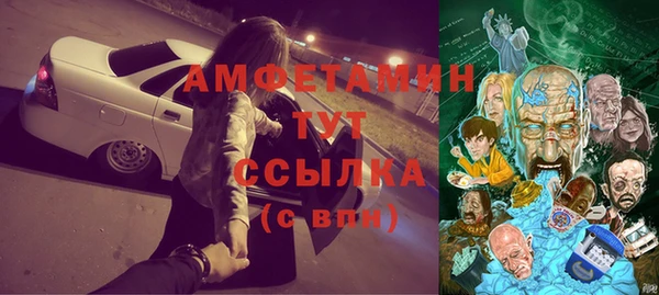 гашик Алексеевка