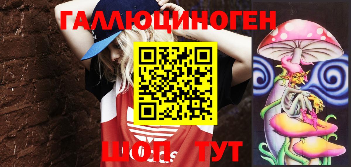 Галлюциногенные грибы Psilocybe Старый Оскол